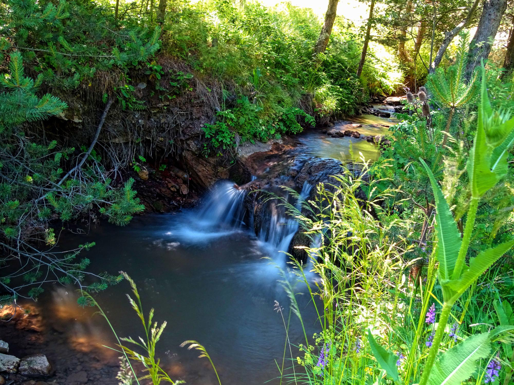האגמים הנסתרים בצפון שאתם חייבים להכיר